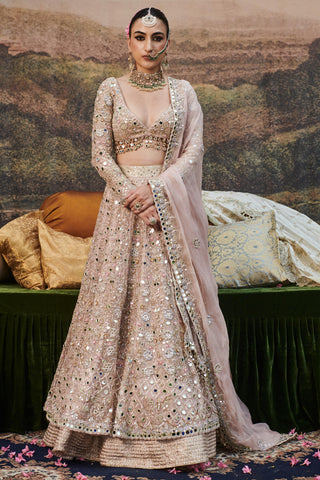 Pink rang de gulaab naach lehenga with single dupatta