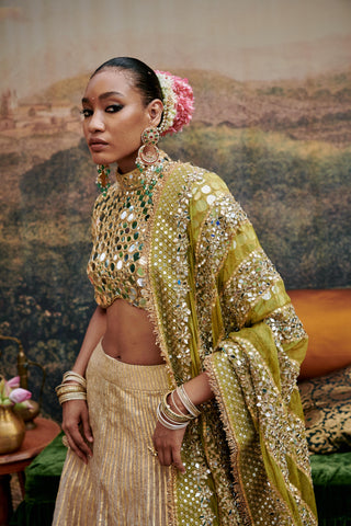 Gold sheesh naach saanjh lehenga set