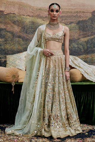 Green noor jahan naach lehenga with single dupatta