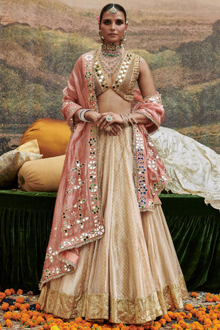 Beige svet gulal naach lehenga set