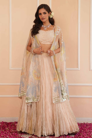 Silver dil se aria lehenga