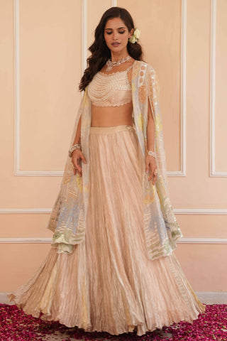 Silver dil se aria lehenga