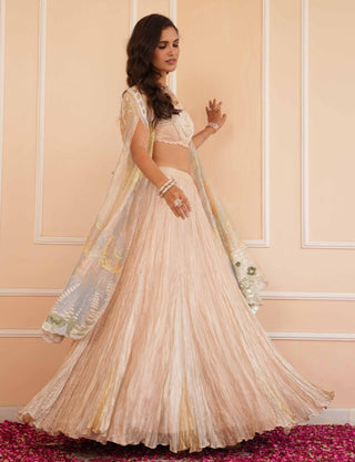 Silver dil se aria lehenga