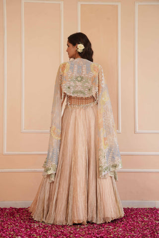 Silver dil se aria lehenga