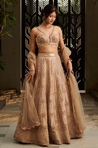 Tuscan gold hand-embroidered hitch lehenga