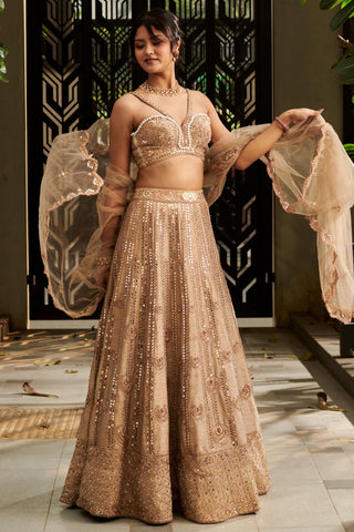 Tuscan gold hand-embroidered hitch lehenga