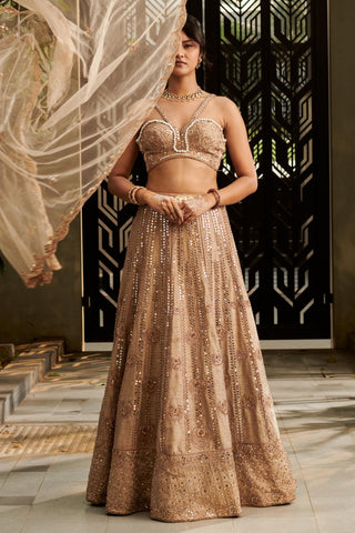 Tuscan gold hand-embroidered hitch lehenga