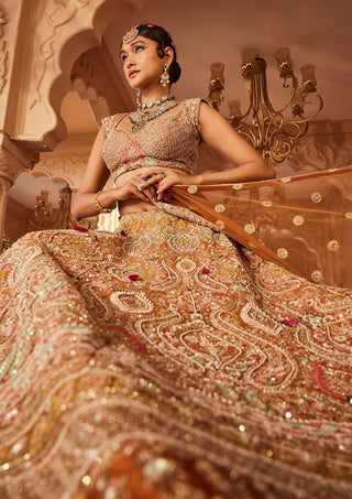 Meghna rust embellished lehenga set