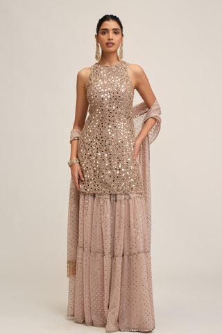 Sharara Set - Indian Wedding - Pink Maharani Mirror by Vvani by Vani Vats