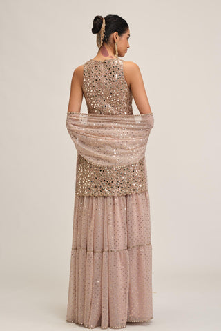Sharara Set - Indian Wedding - Pink Maharani Mirror by Vvani by Vani Vats