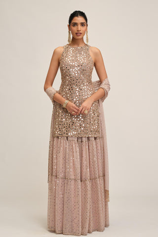 Sharara Set - Indian Wedding - Pink Maharani Mirror by Vvani by Vani Vats