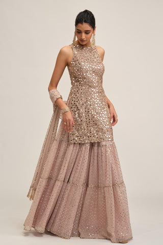 Sharara Set - Indian Wedding - Pink Maharani Mirror by Vvani by Vani Vats