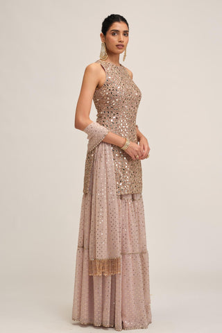 Sharara Set - Indian Wedding - Pink Maharani Mirror by Vvani by Vani Vats