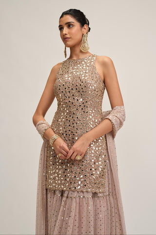 Sharara Set - Indian Wedding - Pink Maharani Mirror by Vvani by Vani Vats