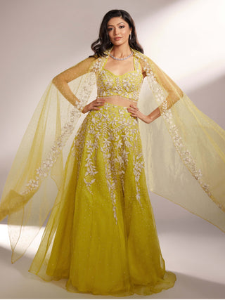 Iris lime yellow lehenga set