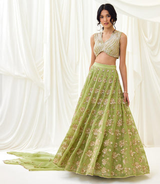 Green embroidered organza lehenga set with wave blouse