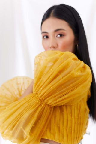 Sunkissed billow sleeve top