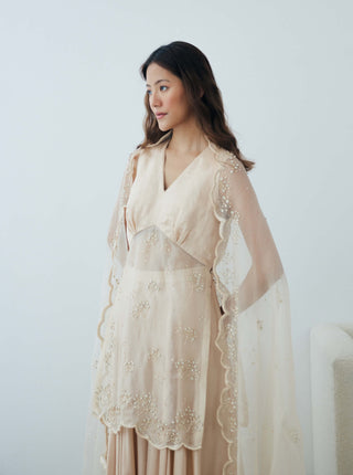 Pearled sand sharara set