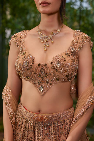 Lehenga Set for Indian Wedding - Brown Chardi Kala Mayur Mukut Lehenga Set by Jigar and Nikita at Mrs. G