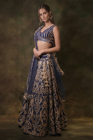 Electrical blue gota lehenga set