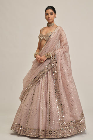 pink sequin lehenga - Indian Wedding - modern maharani sequin by Vvani by Vani Vats