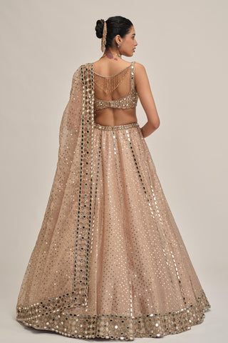 Organza Lehenga Set - Indian Wedding - Beige Modern Maharani Mirror by Vvani by Vani Vats