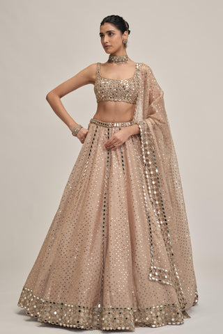 Organza Lehenga Set - Indian Wedding - Beige Modern Maharani Mirror by Vvani by Vani Vats