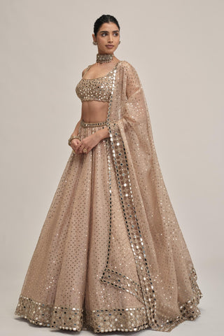 Organza Lehenga Set - Indian Wedding - Beige Modern Maharani Mirror by Vvani by Vani Vats