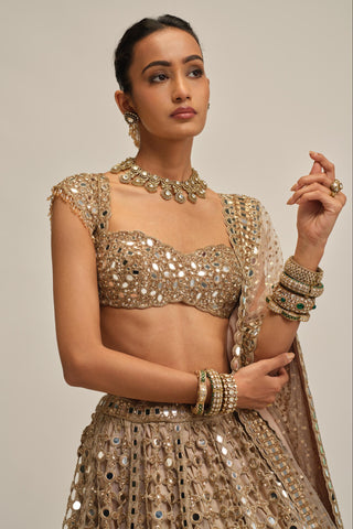 mirror lehenga set - Indian Wedding - Beige Modern Maharani Big Mirror by Vvani by Vani Vats