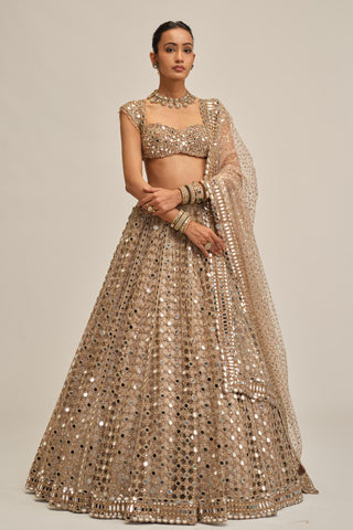 mirror lehenga set - Indian Wedding - Beige Modern Maharani Big Mirror by Vvani by Vani Vats