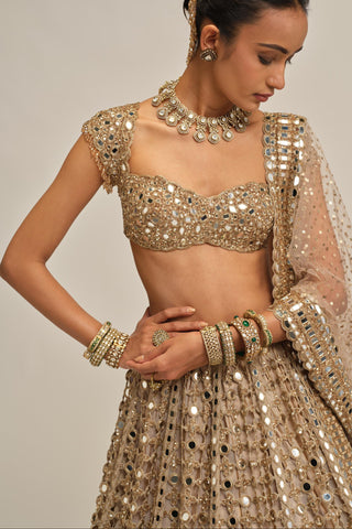 mirror lehenga set - Indian Wedding - Beige Modern Maharani Big Mirror by Vvani by Vani Vats
