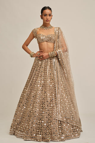 mirror lehenga set - Indian Wedding - Beige Modern Maharani Big Mirror by Vvani by Vani Vats