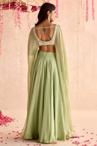 Green lily under bloom sharara set