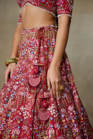 Red Lehenga Set for Indian Wedding – Lovebirds by Shasha Gaba
