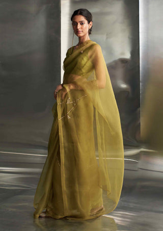 Berry green saree with sleeveless blouse