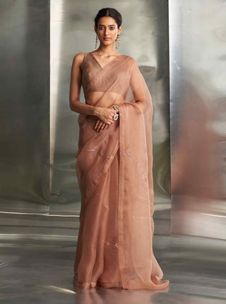 Ginger saree and sleeveless blouse