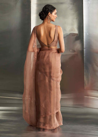 Ginger saree and sleeveless blouse