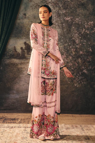 Pink classic tale silvara printed palazzo set