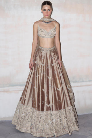 Lehenga Set Nature Wear - Brown Wild Lehenga by Matsya
