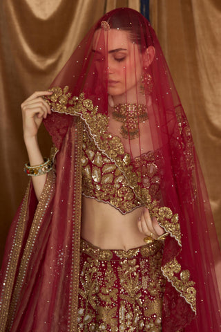 Lehenga Set Heritage Wear - Red Tuscan Lehenga by Matsya