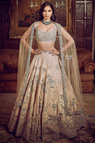 Beige moroccon pink flamingo landscape lost in time lehenga