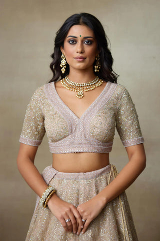 Lehenga Set Indian Wedding – Pink Moonset by Shasha Gaba