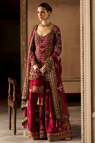 Sharara Set Avian Wear - Red Birds of Paradise Sharara by Matsya