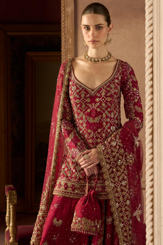 Sharara Set Avian Wear - Red Birds of Paradise Sharara by Matsya
