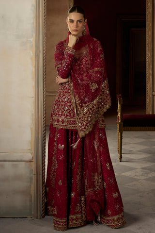 Sharara Set Avian Wear - Red Birds of Paradise Sharara by Matsya