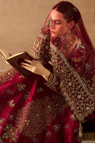 Sharara Set Avian Wear - Red Birds of Paradise Sharara by Matsya