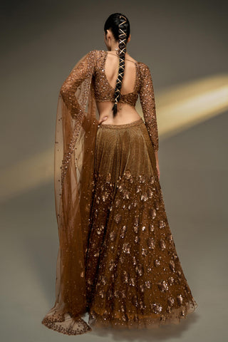 Lehenga Set For Indian Wedding - Brown Midas Touch Lehenga Set by Prevasu
