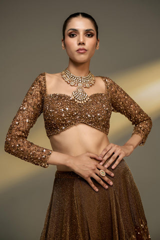 Lehenga Set For Indian Wedding - Brown Midas Touch Lehenga Set by Prevasu