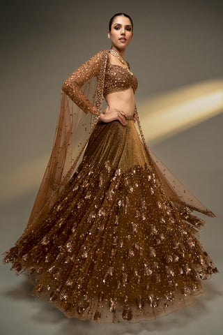 Lehenga Set For Indian Wedding - Brown Midas Touch Lehenga Set by Prevasu