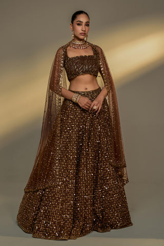 Lehenga Set For Indian Wedding - Brown Afreen Net Lehenga Set by Prevasu